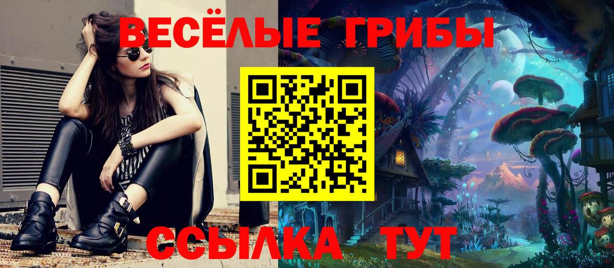 Галлюциногенные грибы GOLDEN TEACHER  Галлюциногенные грибы Psilocybe  Вход с VPN  Шарыпово 
